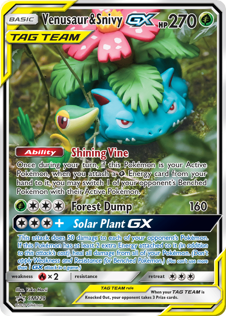 Venusaur & Snivy-GX Pokémon SM Black Star Promos (SM229/248) – Sun & Moon