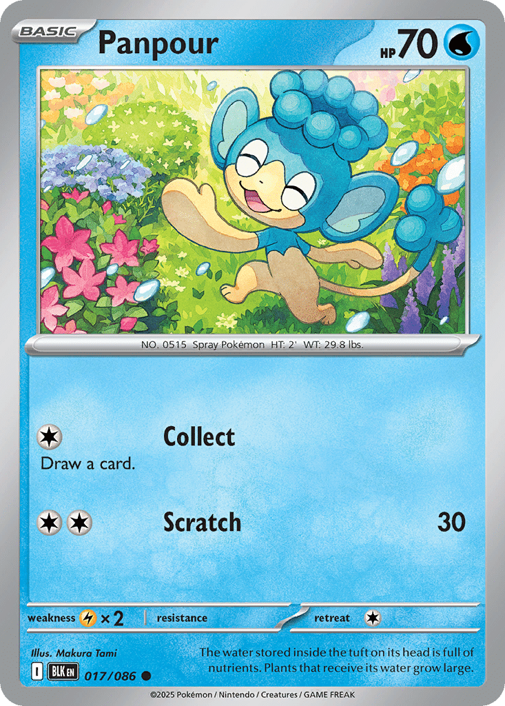 Panpour Pokémon Black Bolt (17/86) – Scarlet & Violet