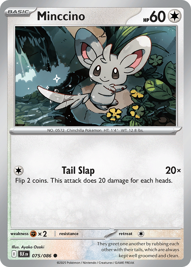 Minccino Pokémon Black Bolt (75/86) – Scarlet & Violet